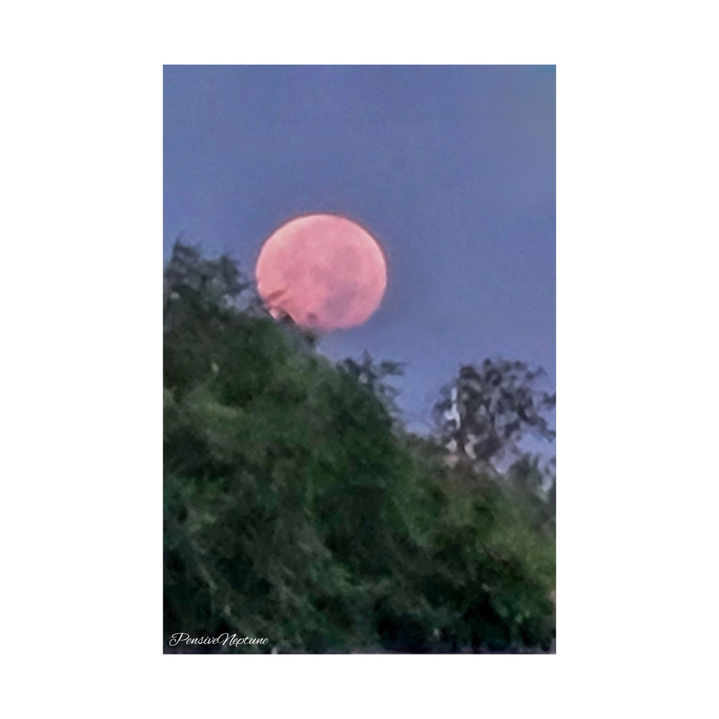 Buck Moon