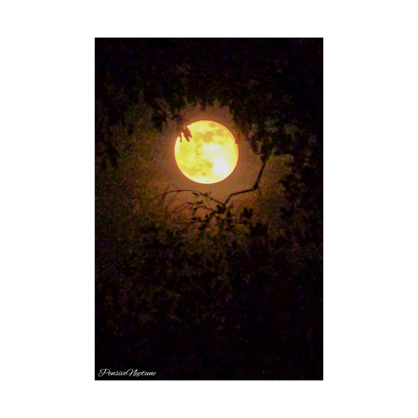 Bewitching Super Moon
