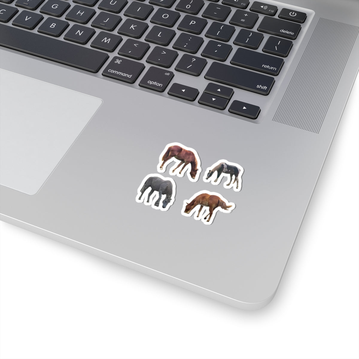 Horses