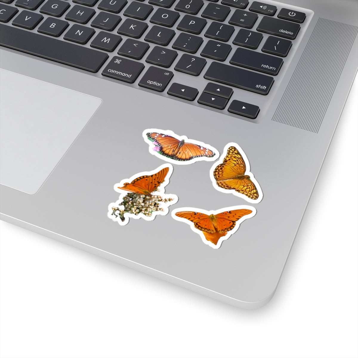 Butterflies