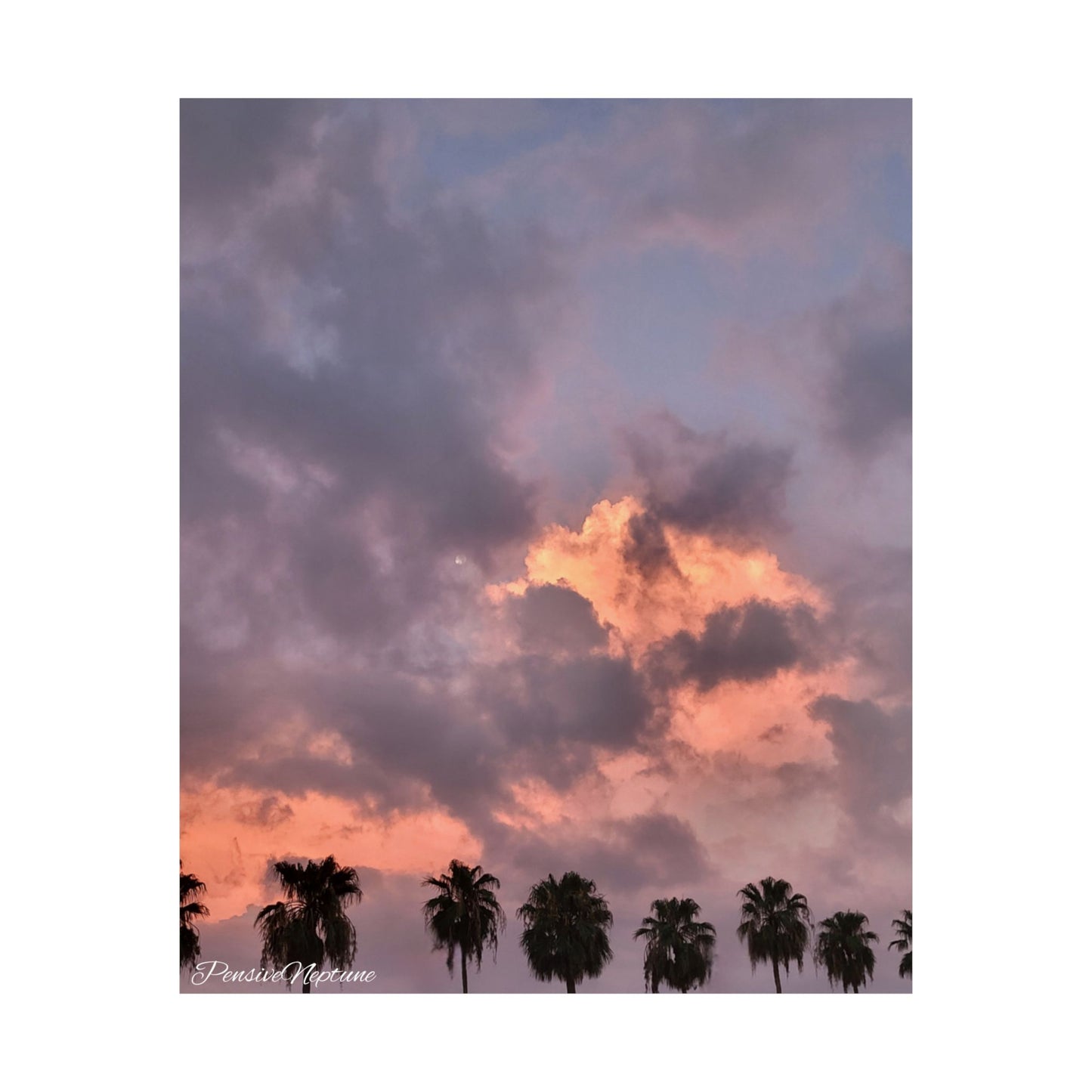 Blazing pink twilight