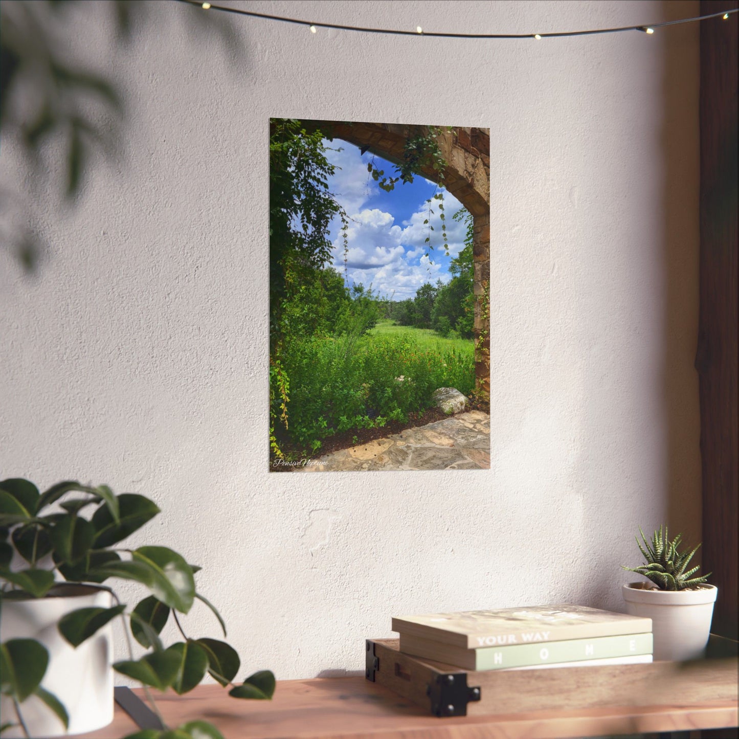 Window into Nature
