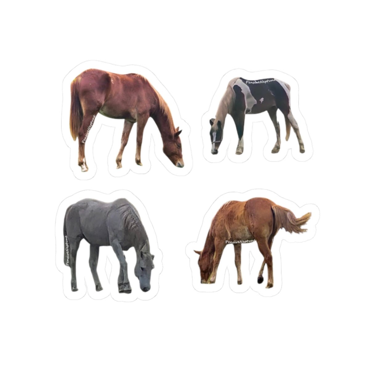 Horses