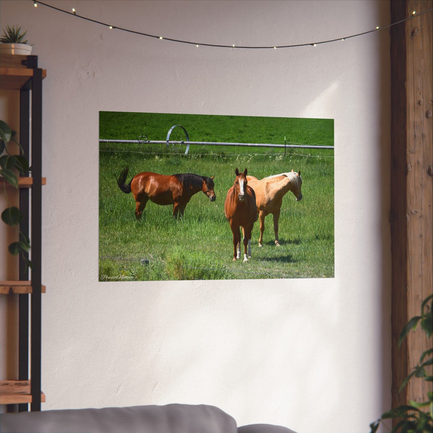 Mustangs