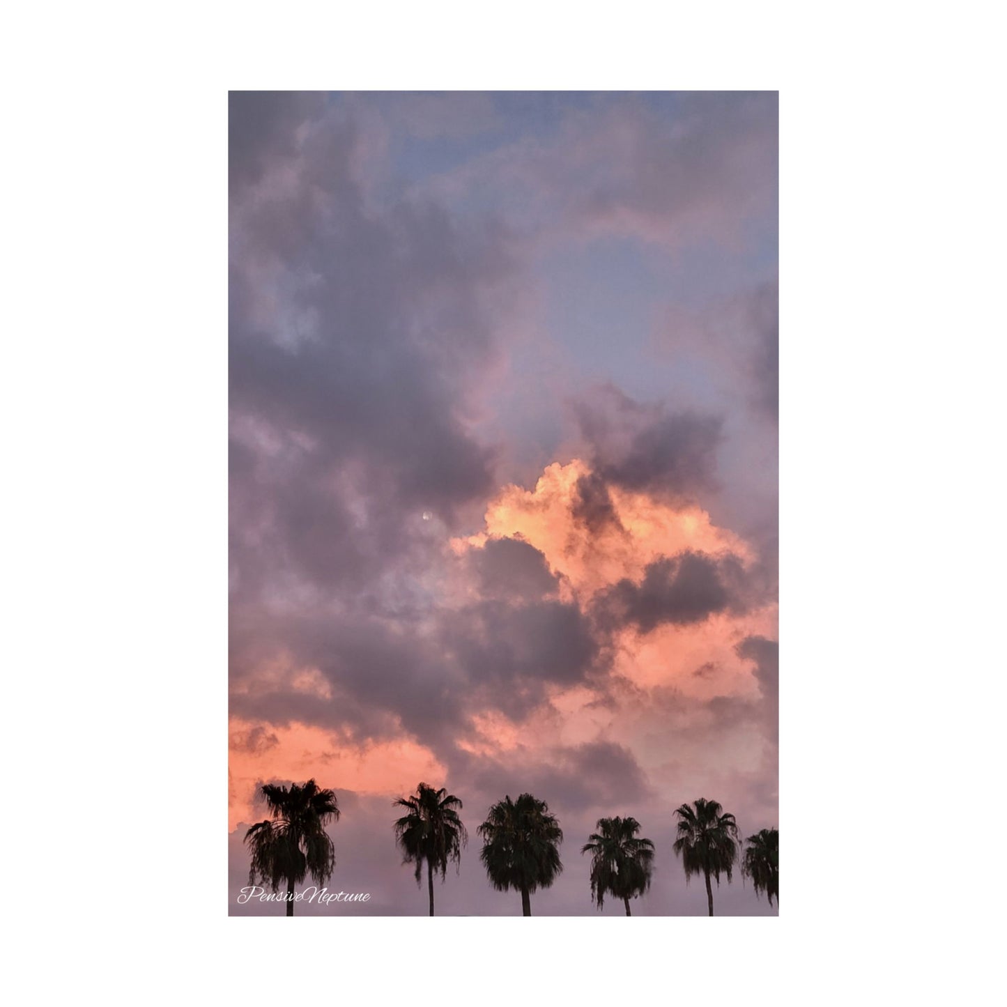 Blazing pink twilight