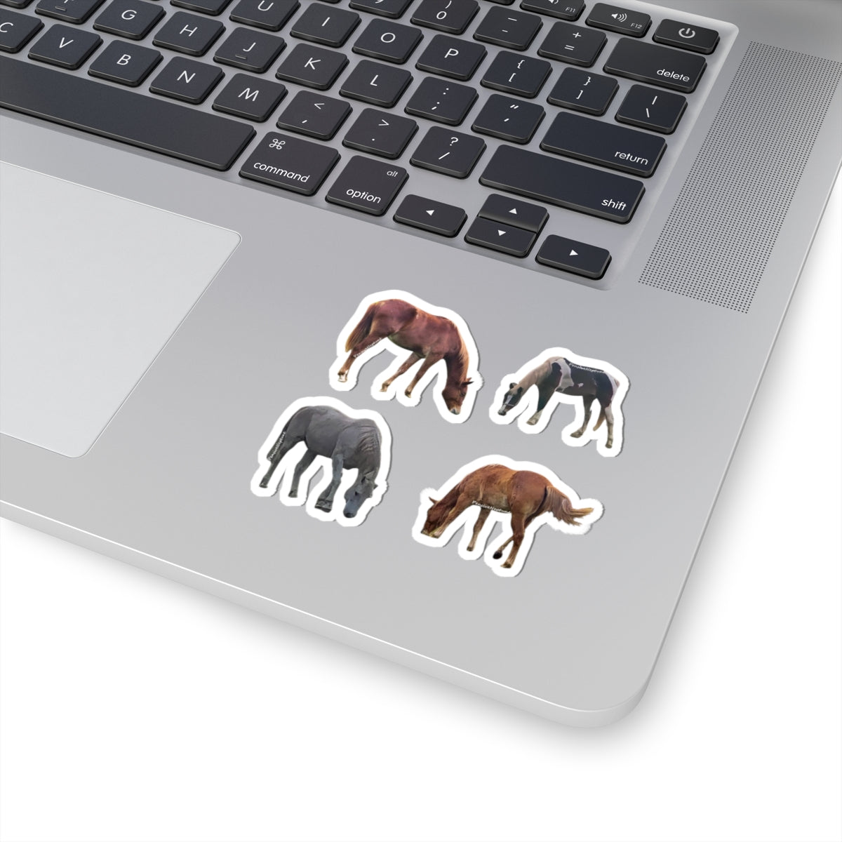 Horses