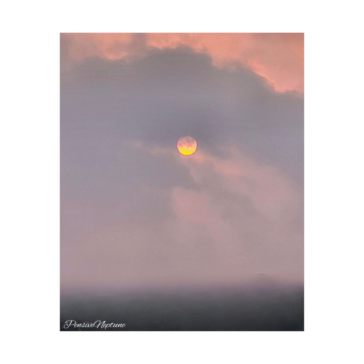 Rosy dreams
