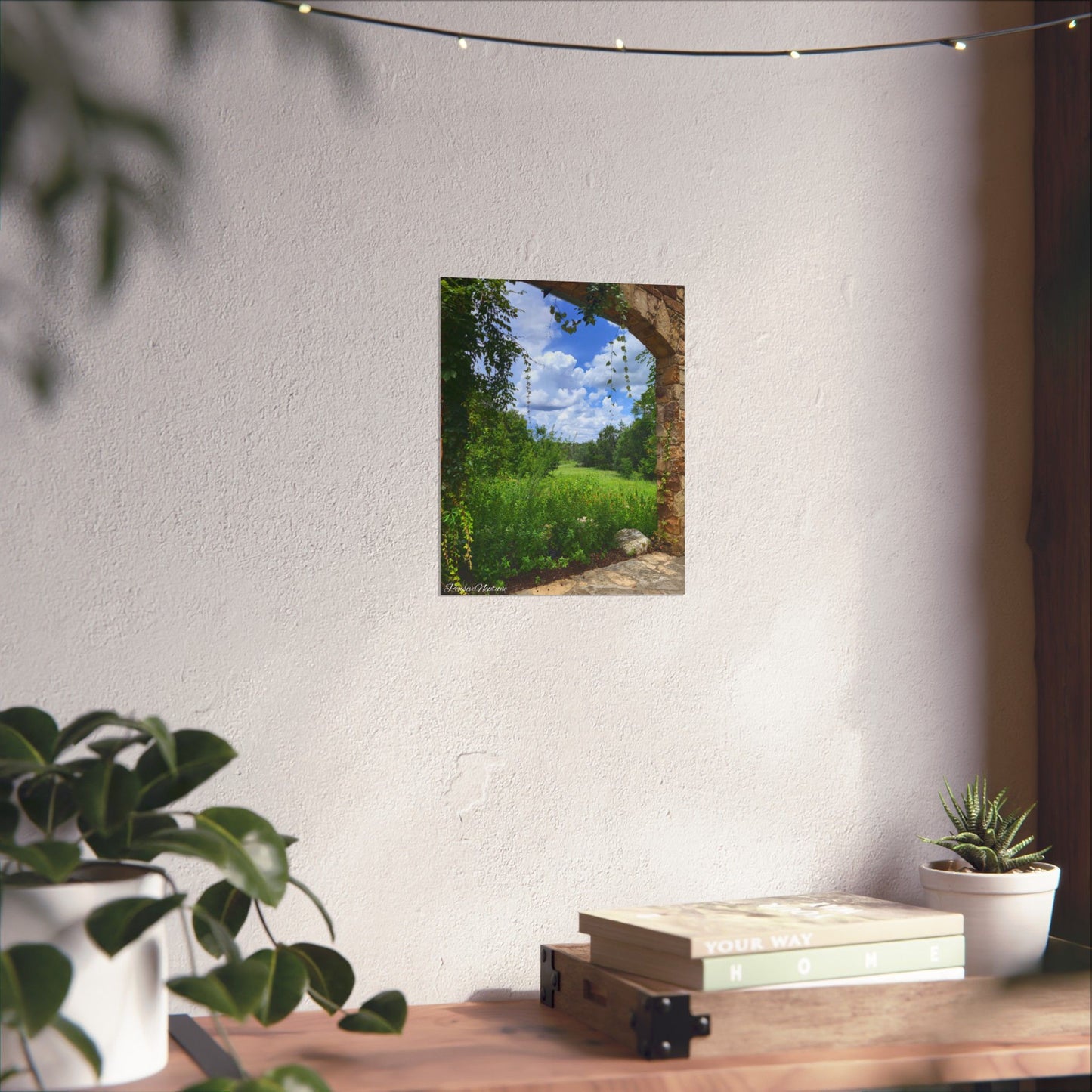 Window into Nature