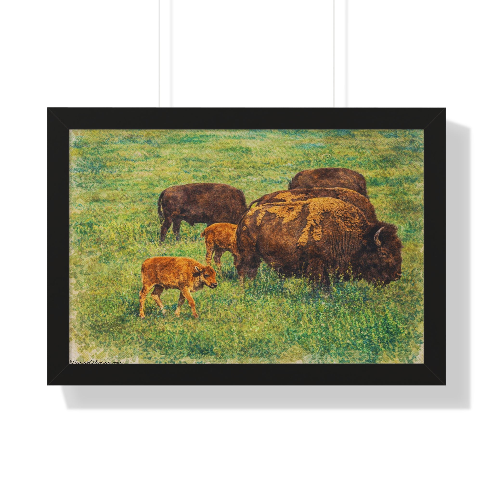Keepers of the Painted Prairie