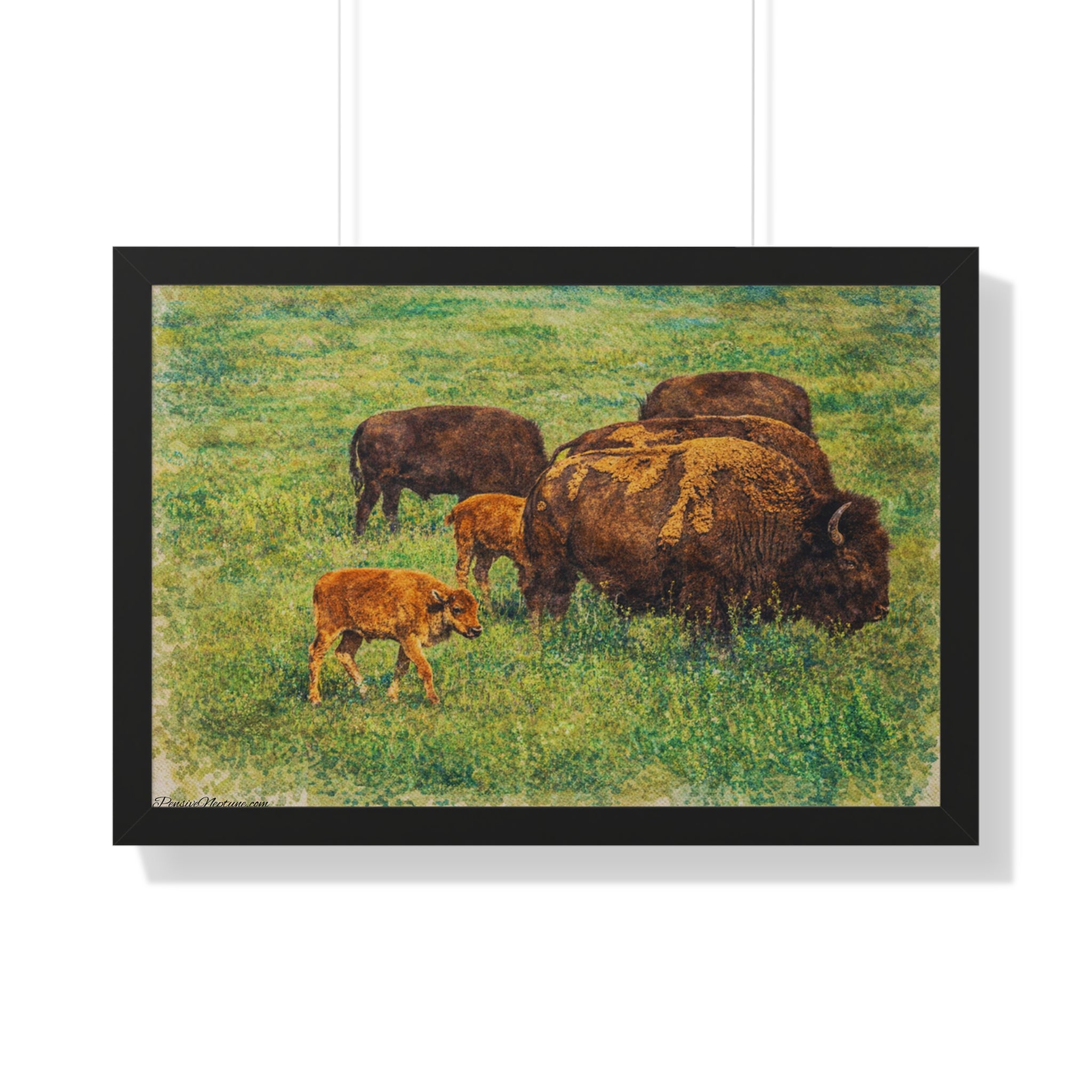Keepers of the Painted Prairie