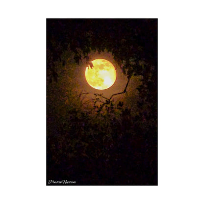Bewitching Super Moon