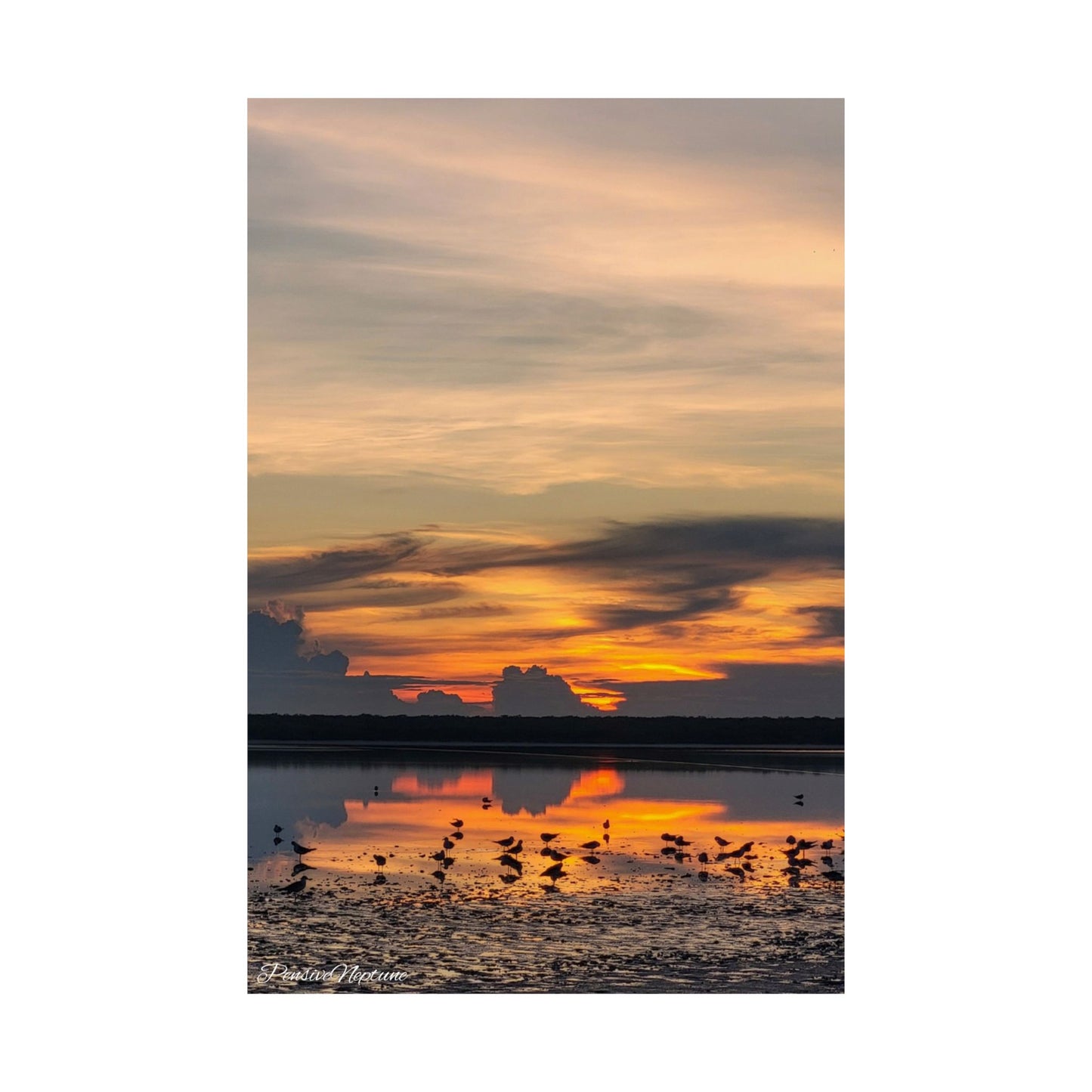 First Light