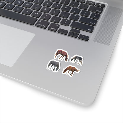 Horses