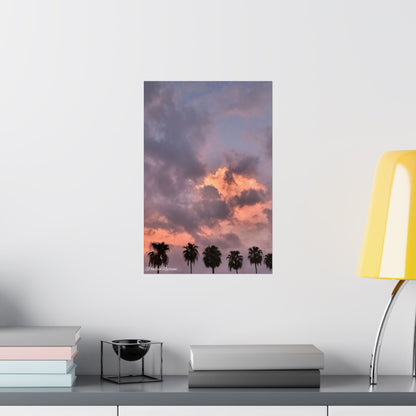 Blazing pink twilight