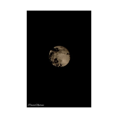 November Moon