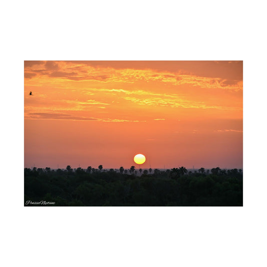 Glorious Sunrise