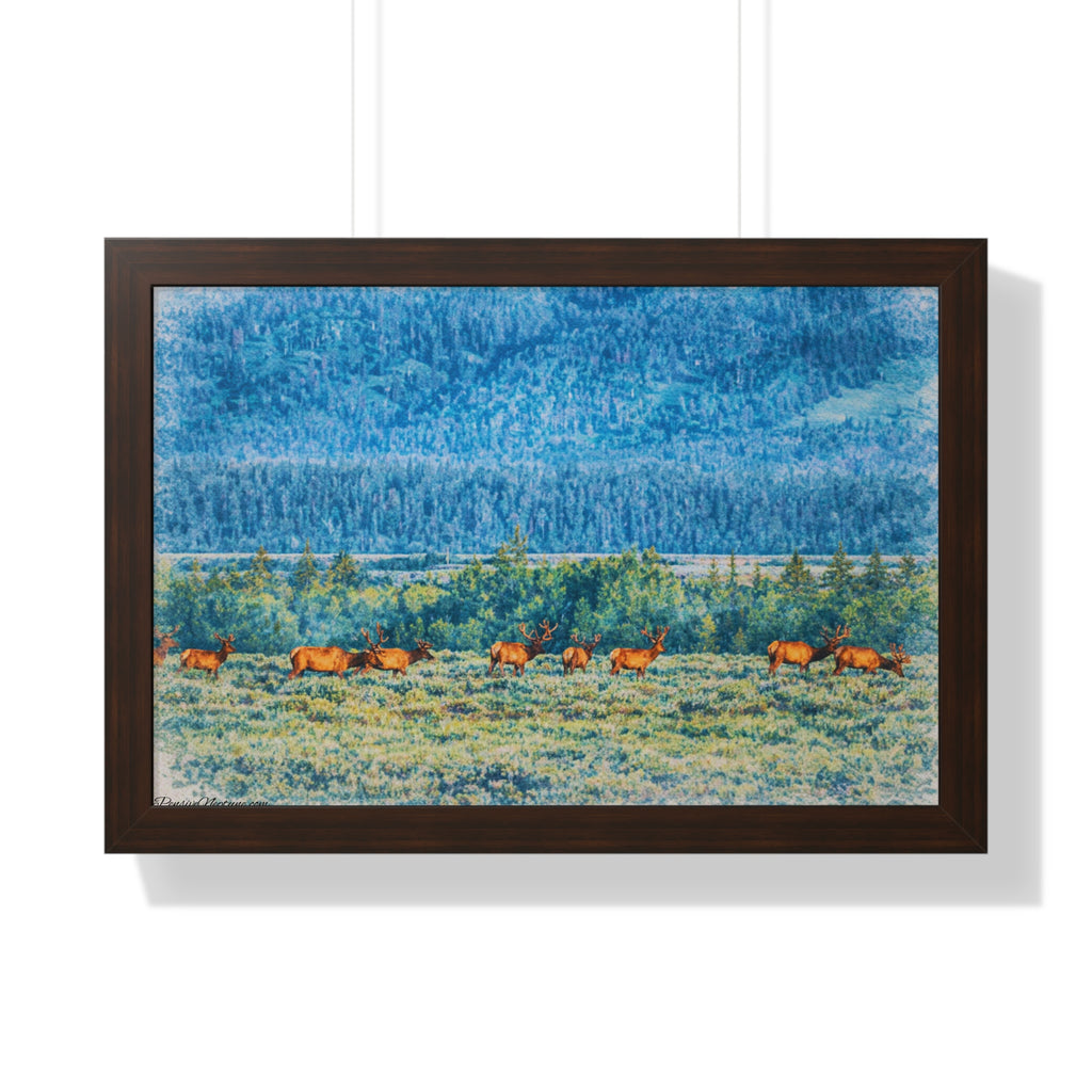 Elk Beneath the Evergreen Veil