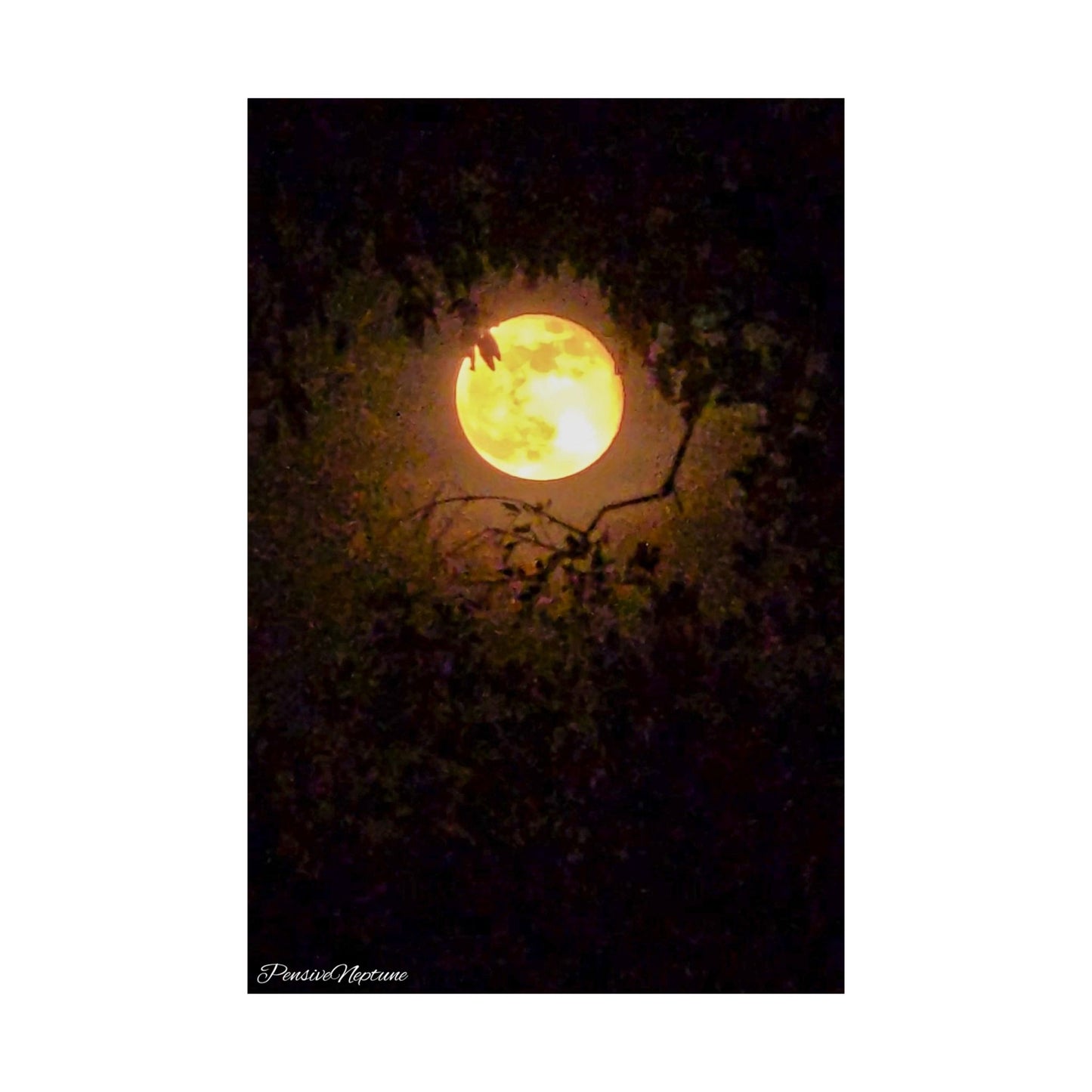 Bewitching Super Moon