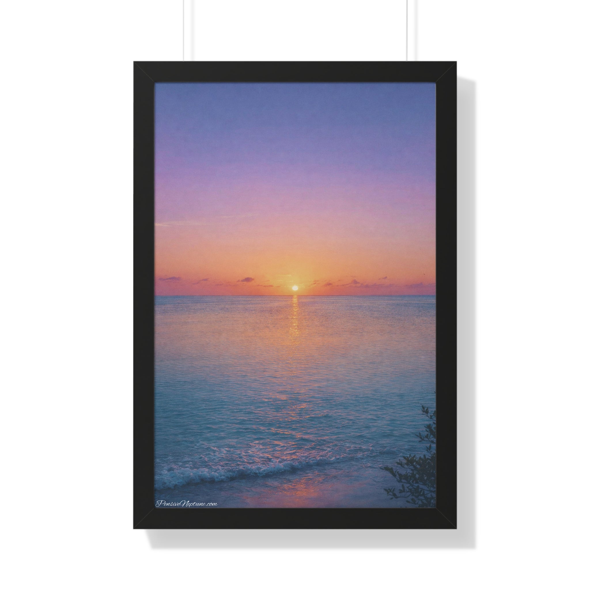 The Ocean's Last Ember