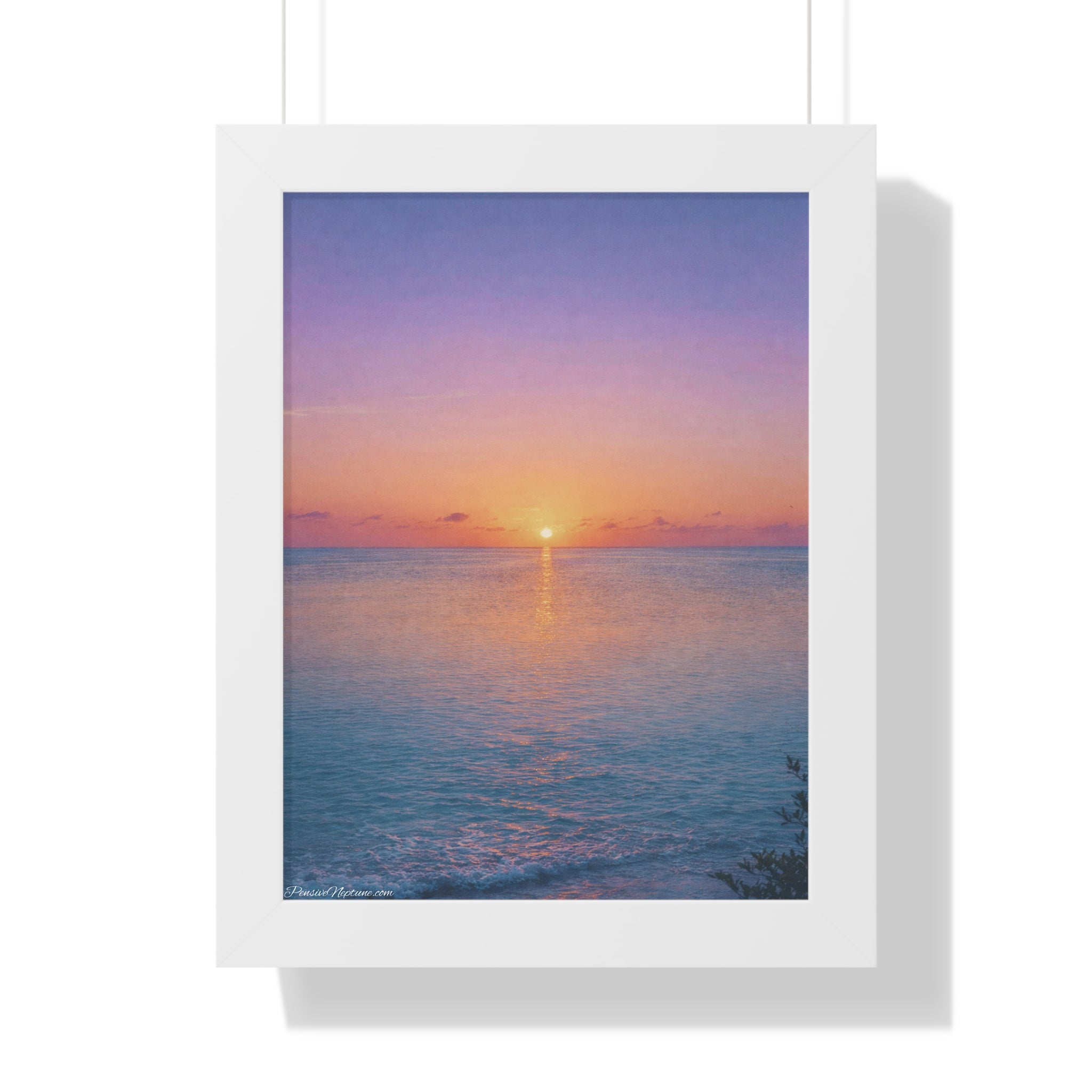 The Ocean's Last Ember