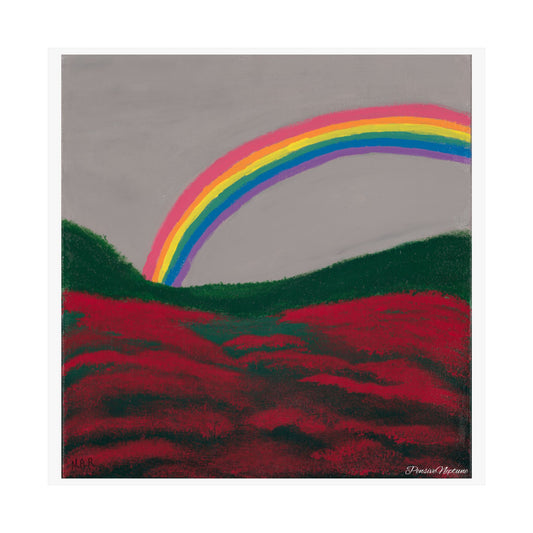 Field of Poppies