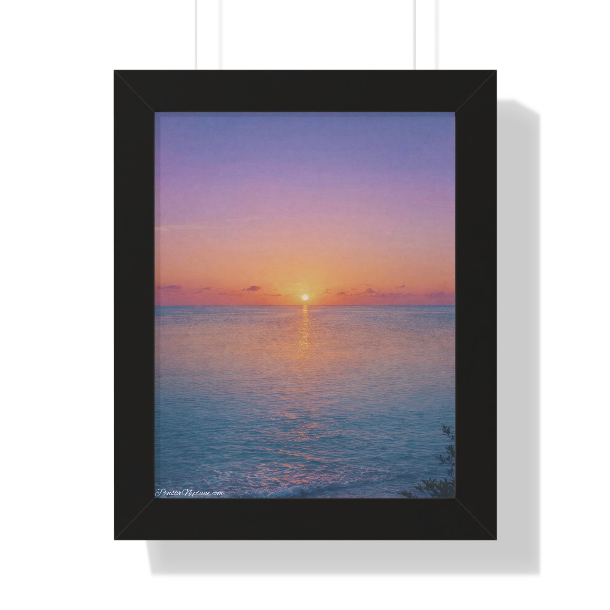 The Ocean's Last Ember