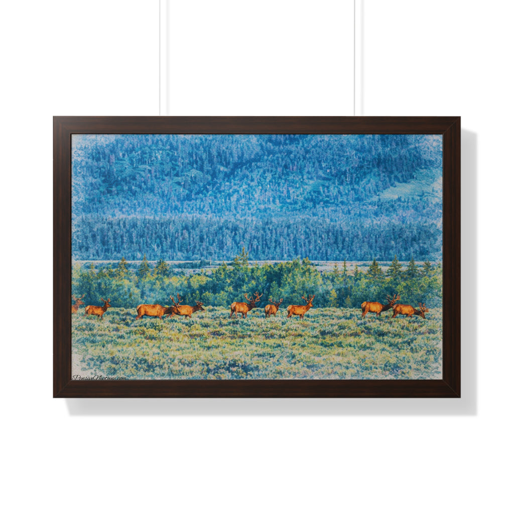 Elk Beneath the Evergreen Veil