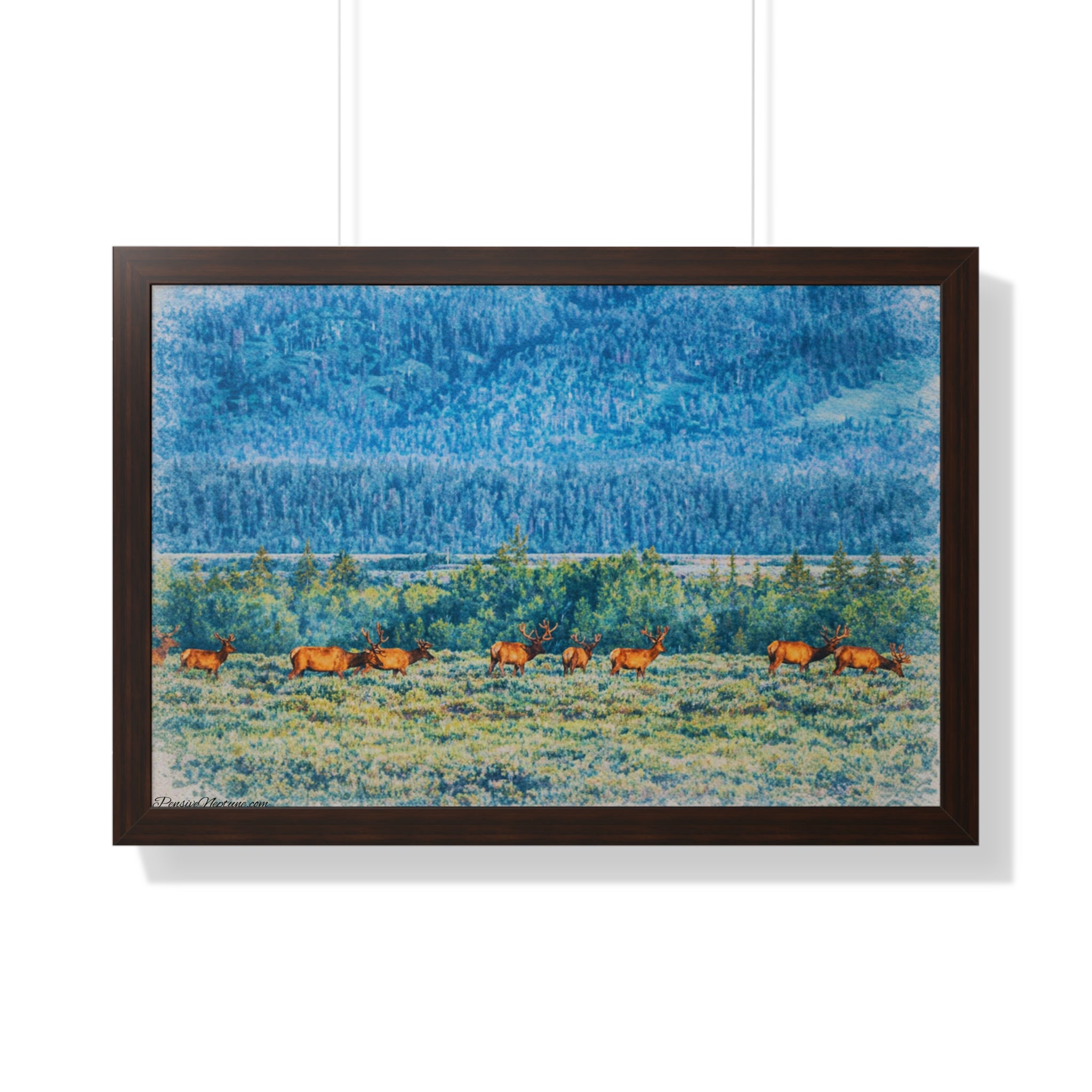 Elk Beneath the Evergreen Veil