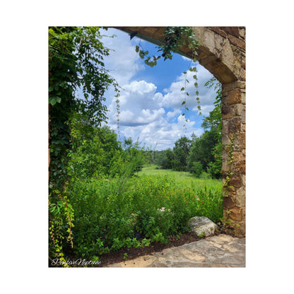 Window into Nature