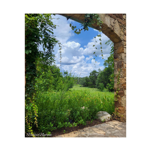 Window into Nature
