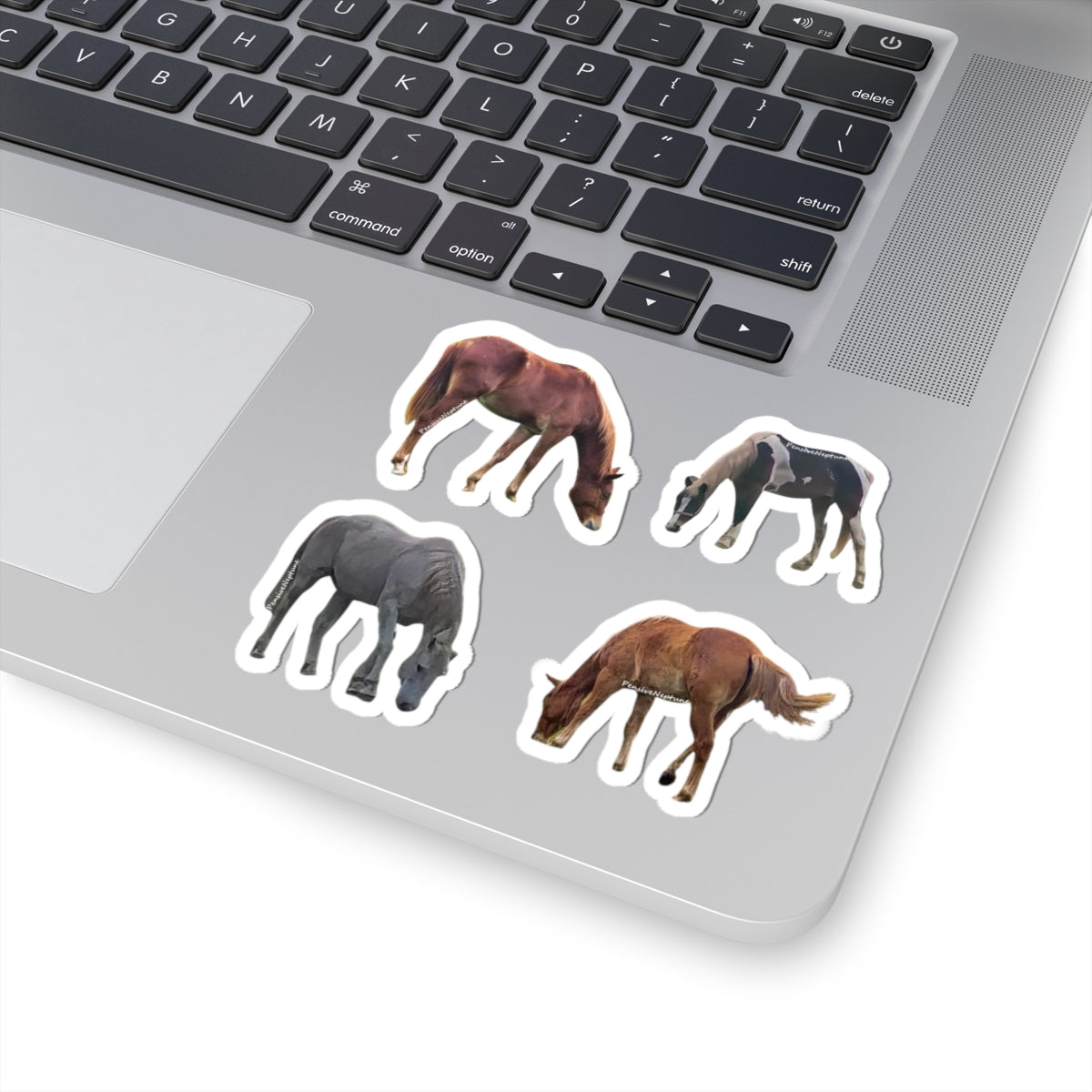 Horses