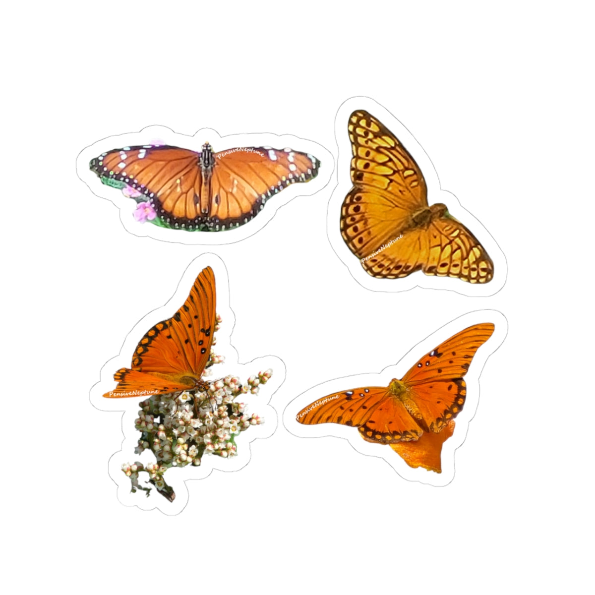 Butterflies