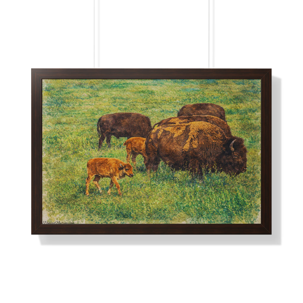 Keepers of the Painted Prairie
