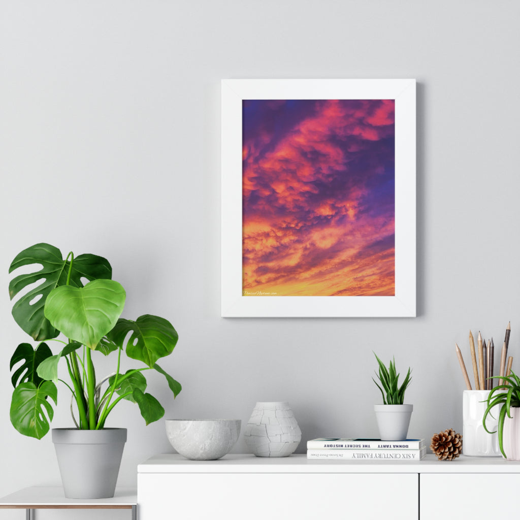 The Sky's Celestial Bloom