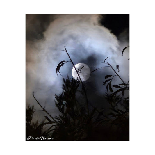 Moonshine