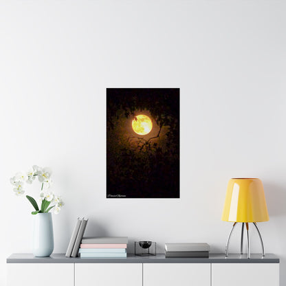 Bewitching Super Moon