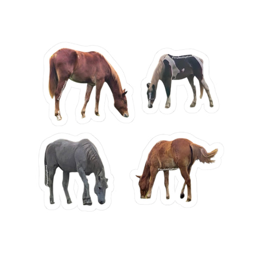 Horses