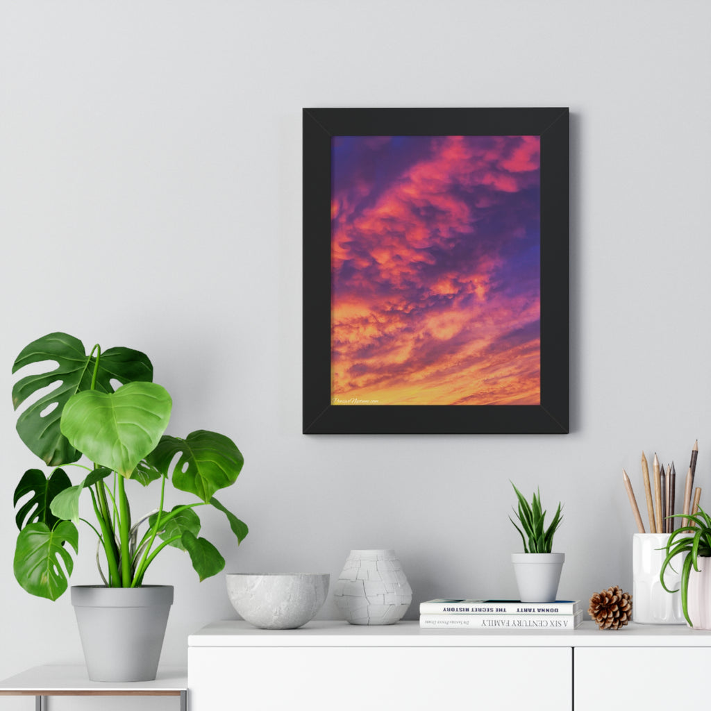 The Sky's Celestial Bloom