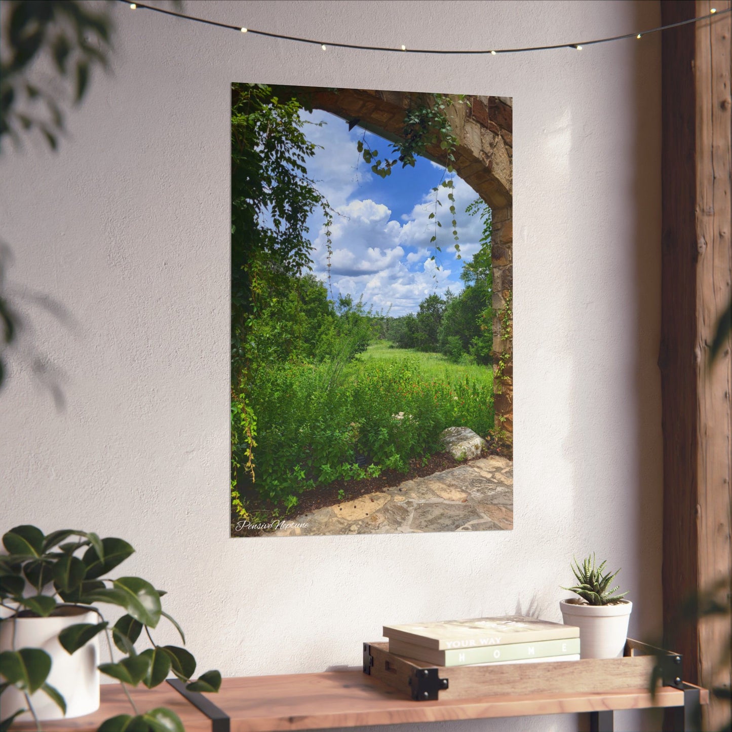 Window into Nature