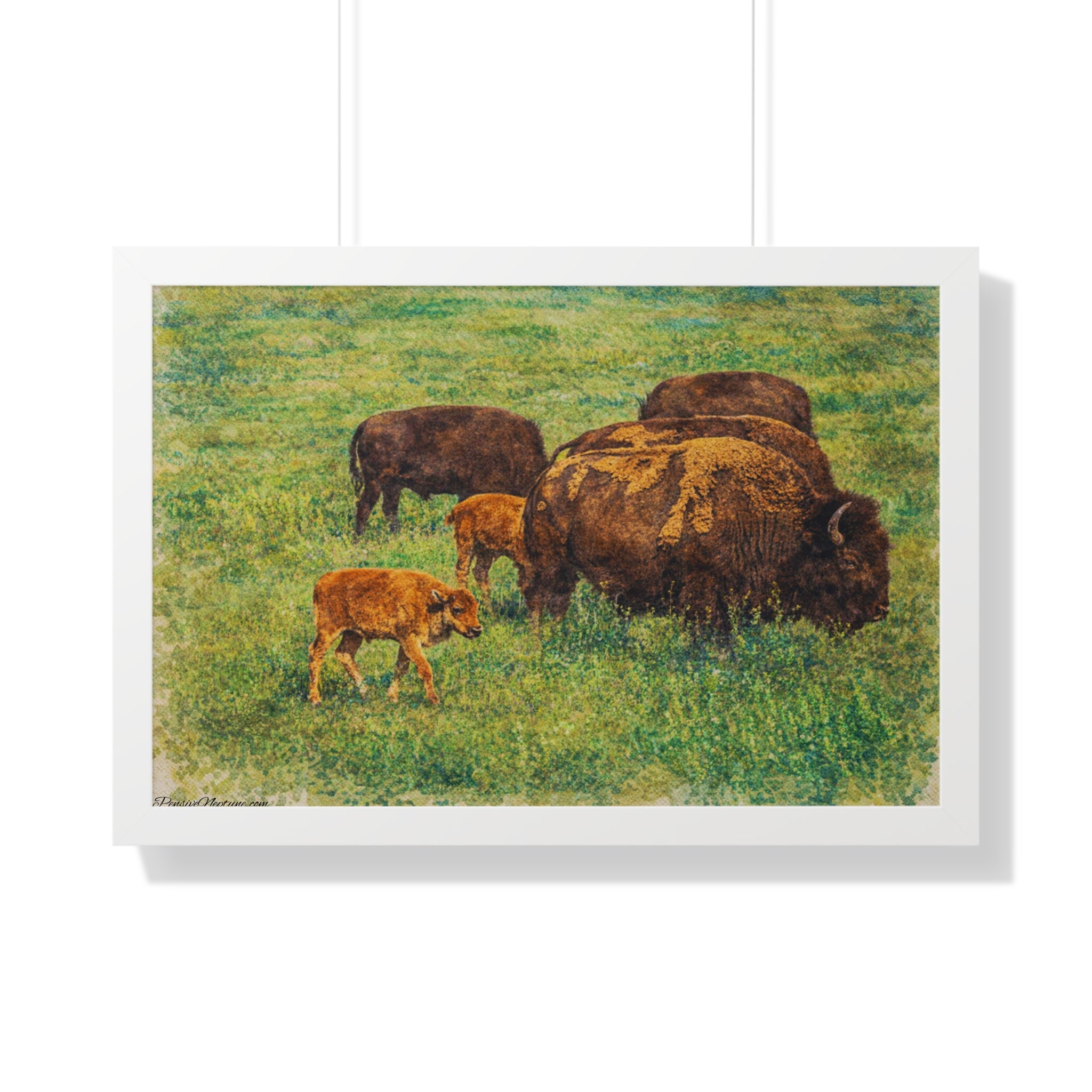 Keepers of the Painted Prairie
