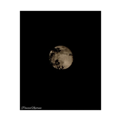 November Moon