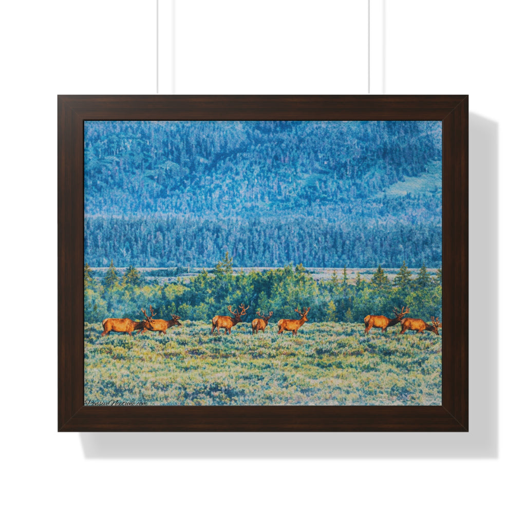 Elk Beneath the Evergreen Veil