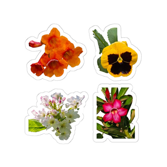 Wildflowers