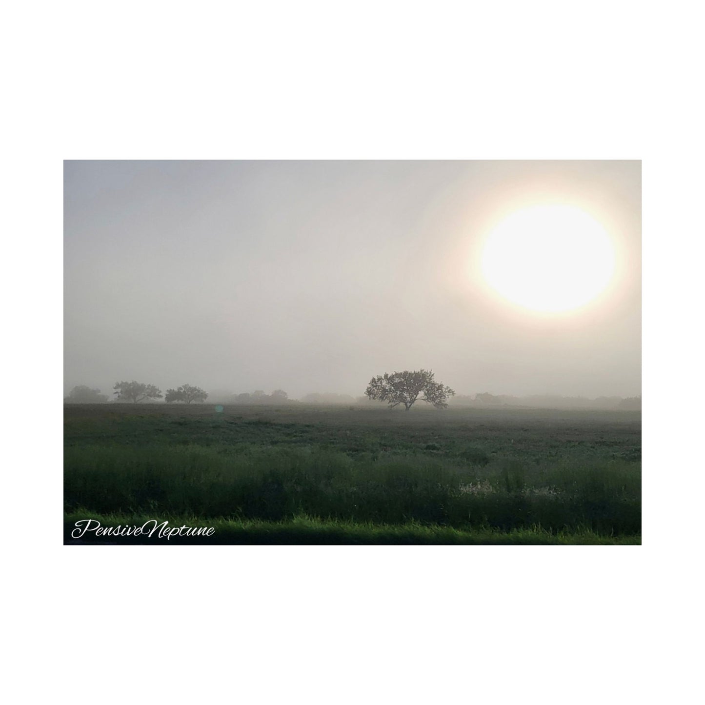 Pride and Prejudice Sunrise