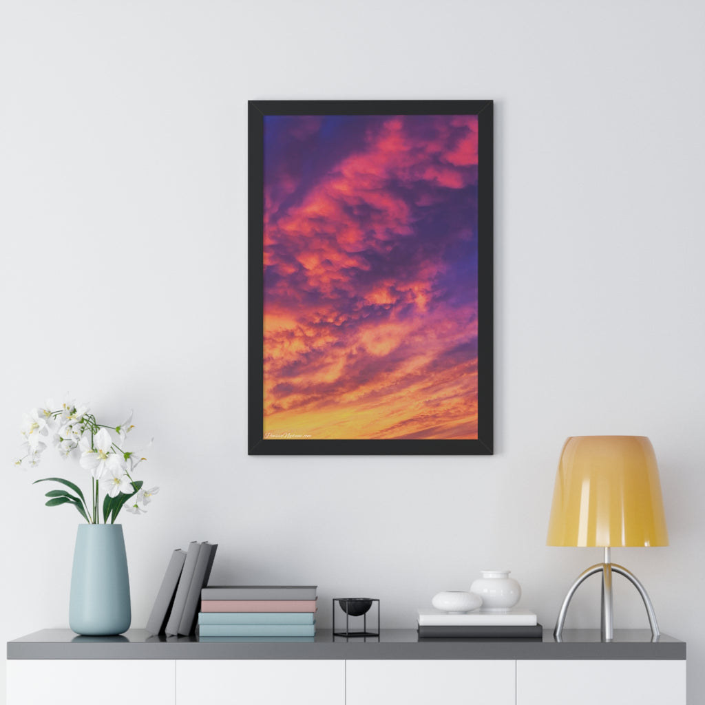 The Sky's Celestial Bloom