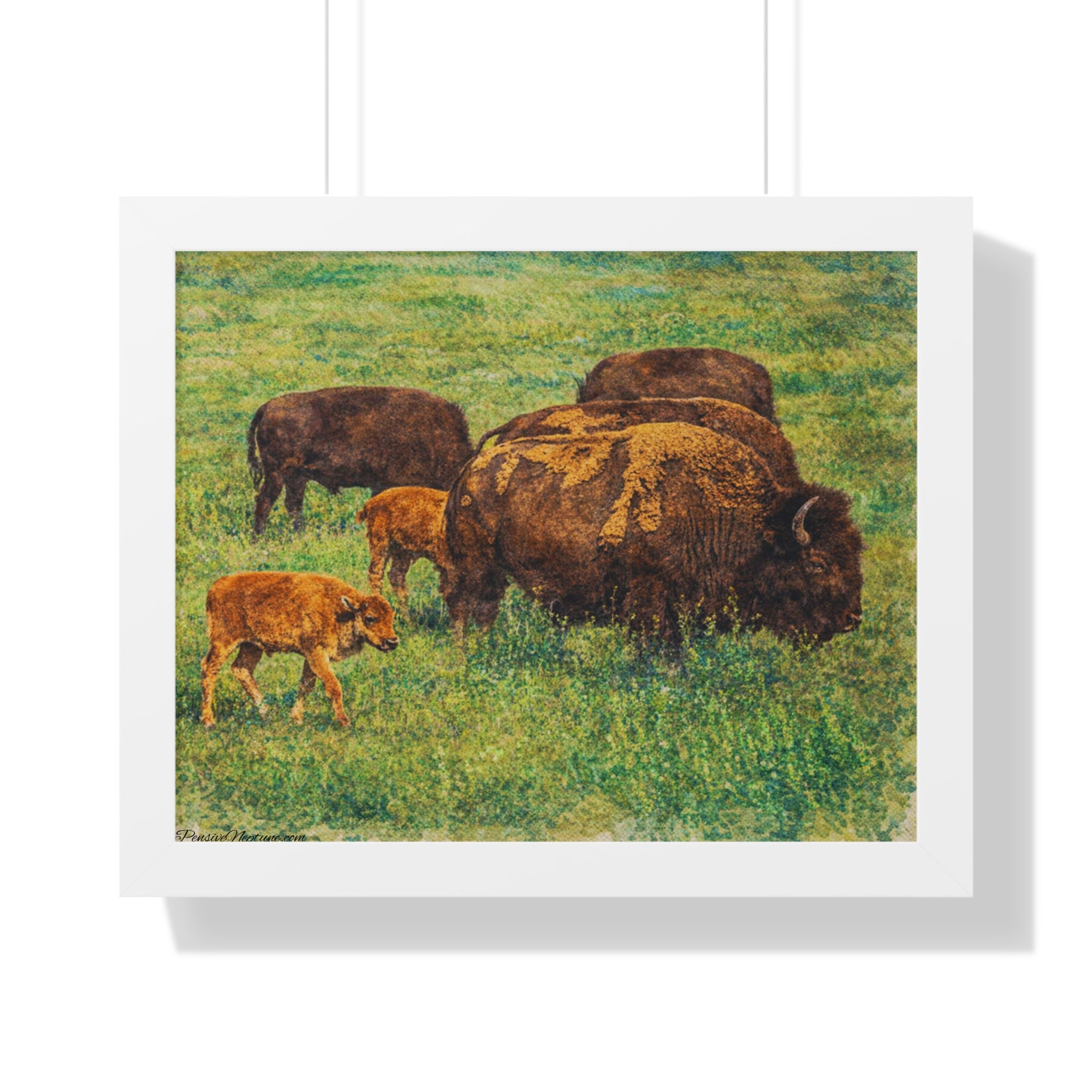 Keepers of the Painted Prairie