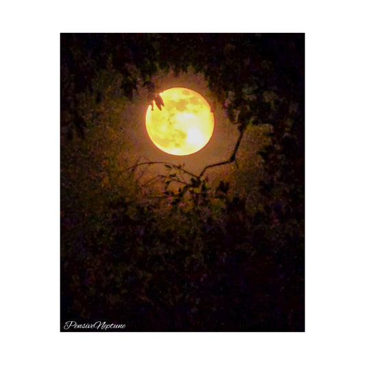 Bewitching Super Moon