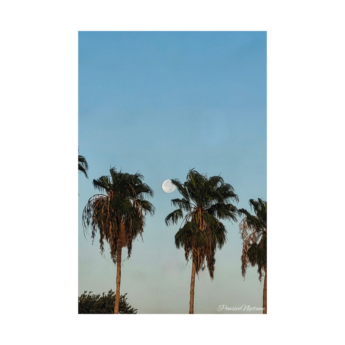 Hide and Seek Moon