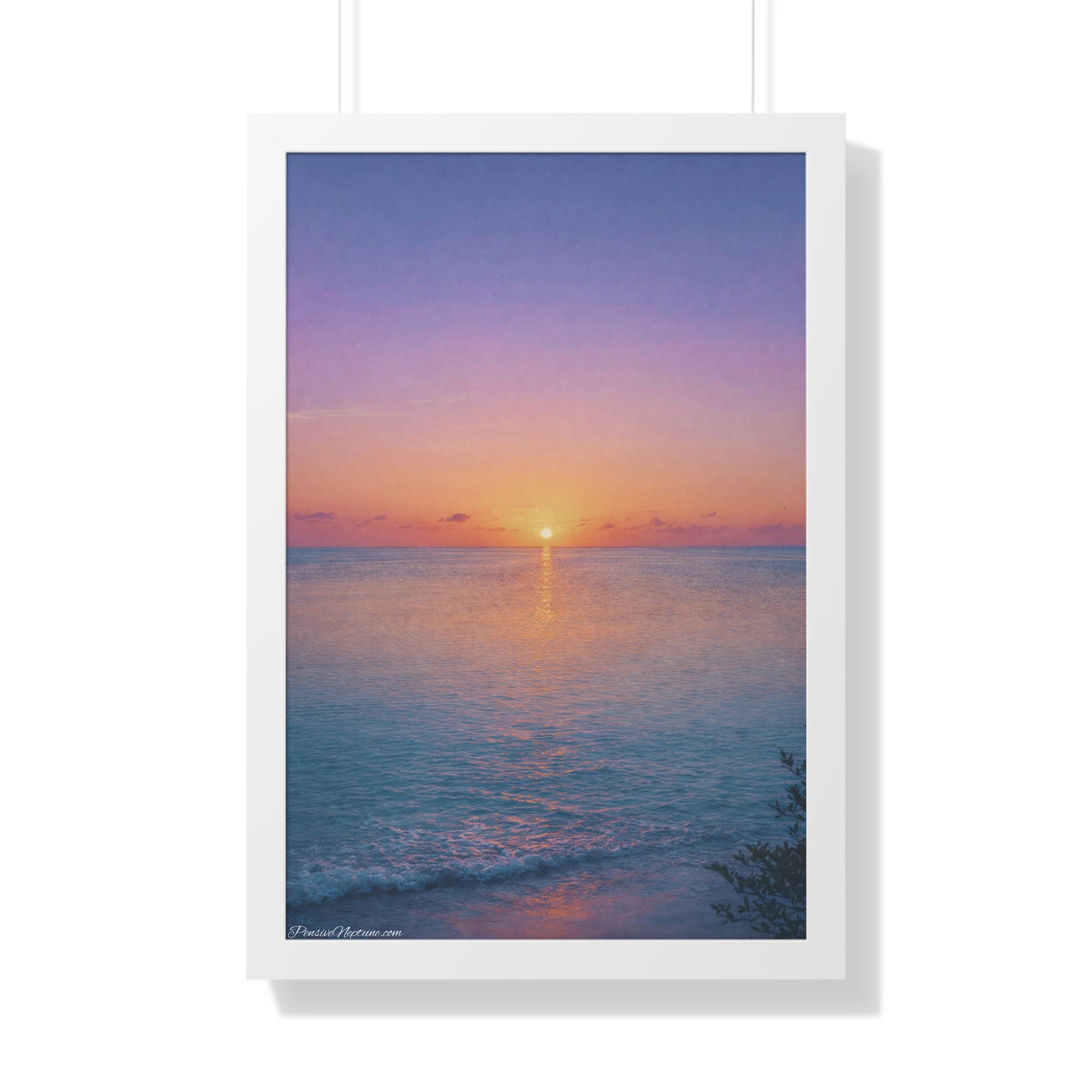The Ocean's Last Ember