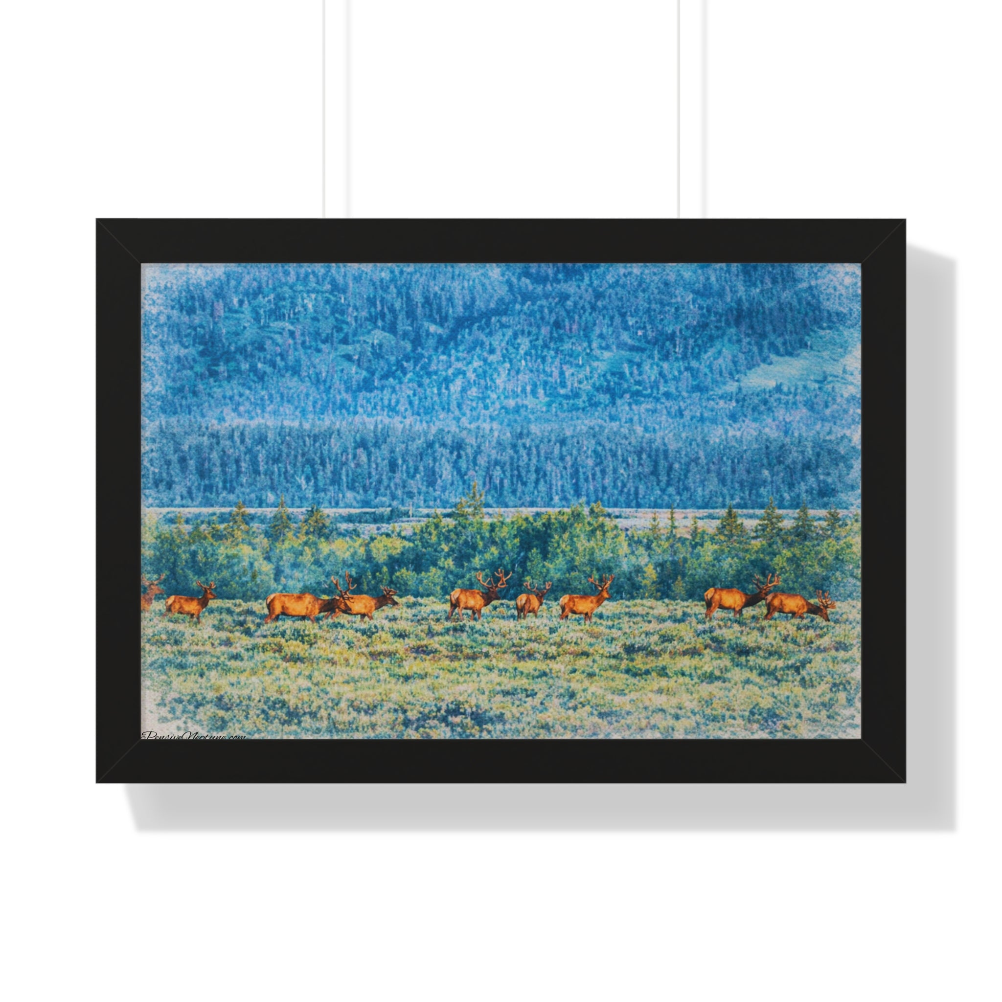 Elk Beneath the Evergreen Veil